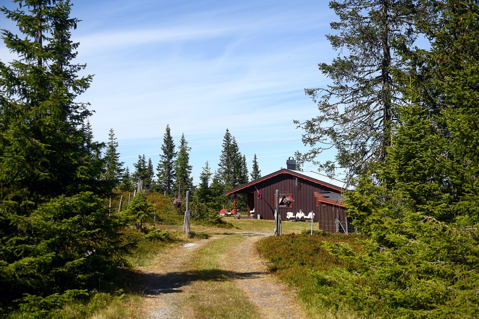 Fra eiendommen går det stier rett ut i marka. Galleribilde