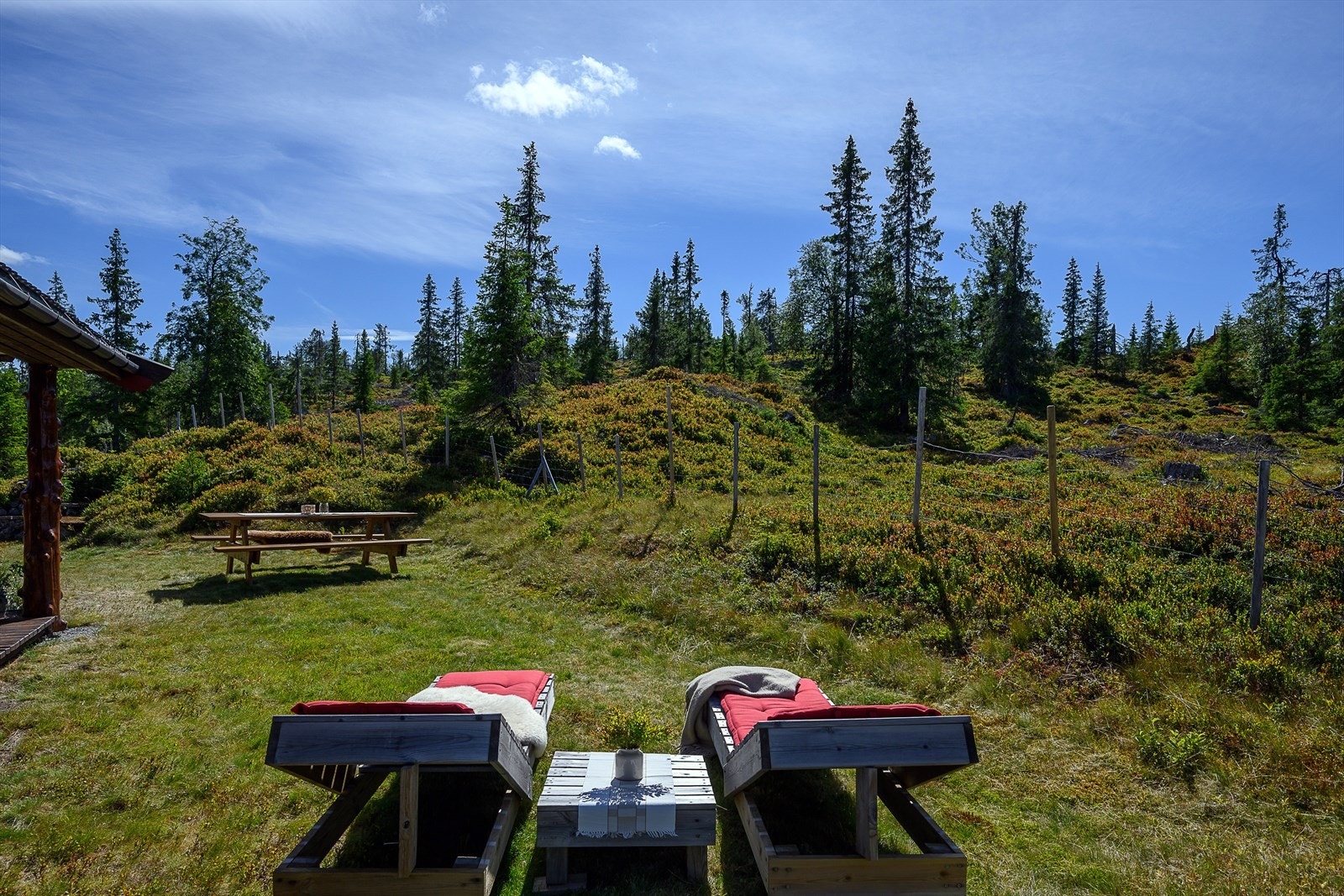 Stor naturtomt med gressplen og fjellvegetasjon. Galleribilde