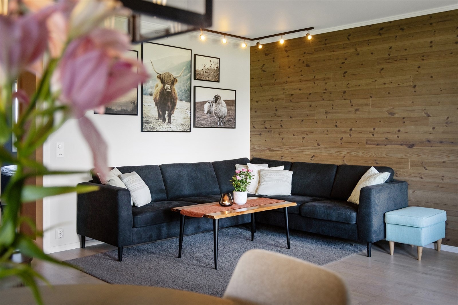 En vegg med trepanel gir rommet karakter og bryter mot de malte flatene. Galleribilde