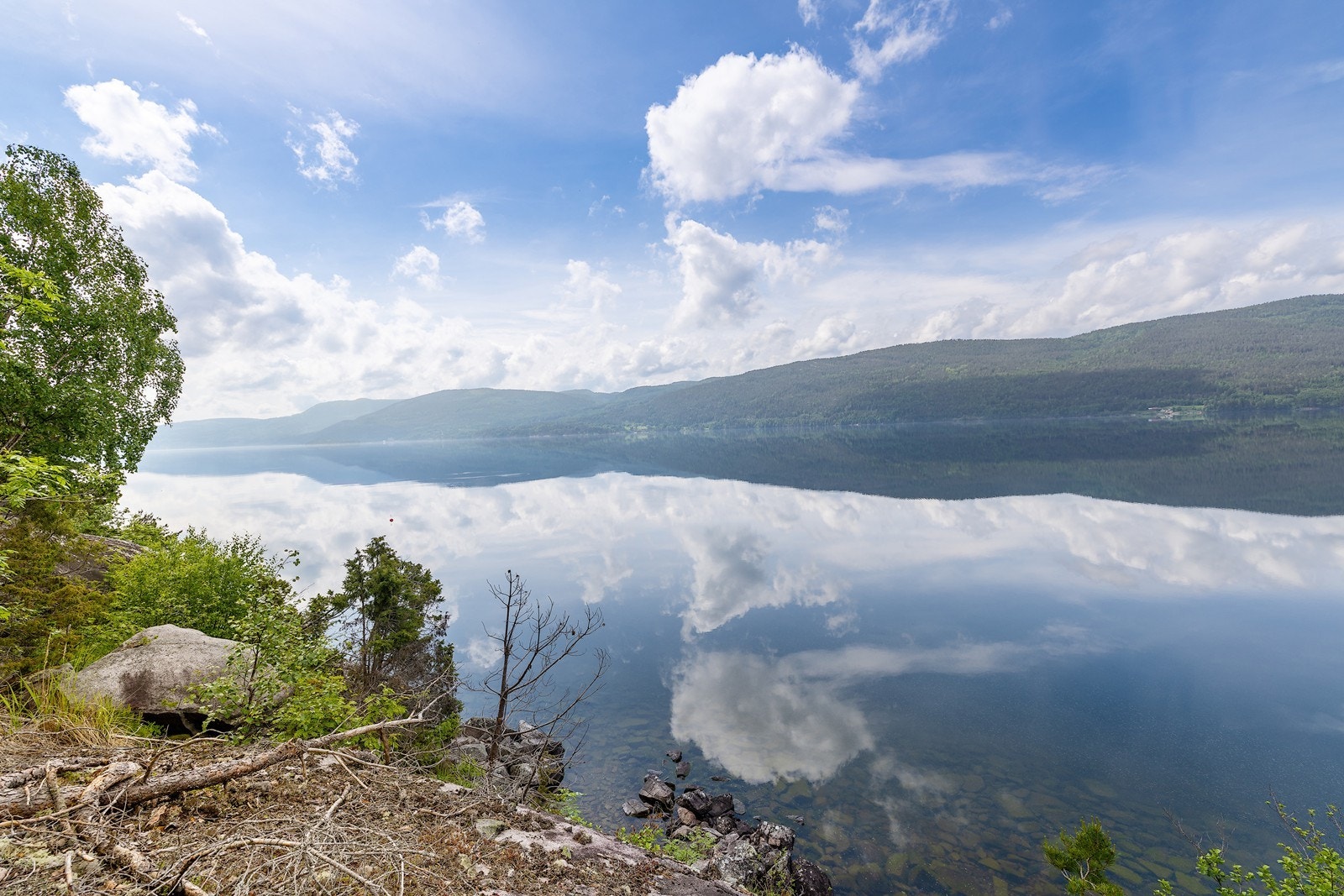 Eikeren er kjent for sitt klare vann og fine naturomgivelser. Galleribilde