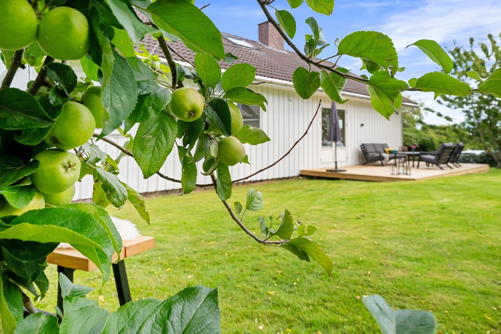 Uteområdet er pent opparbeidet og lett å vedlikeholde. Galleribilde