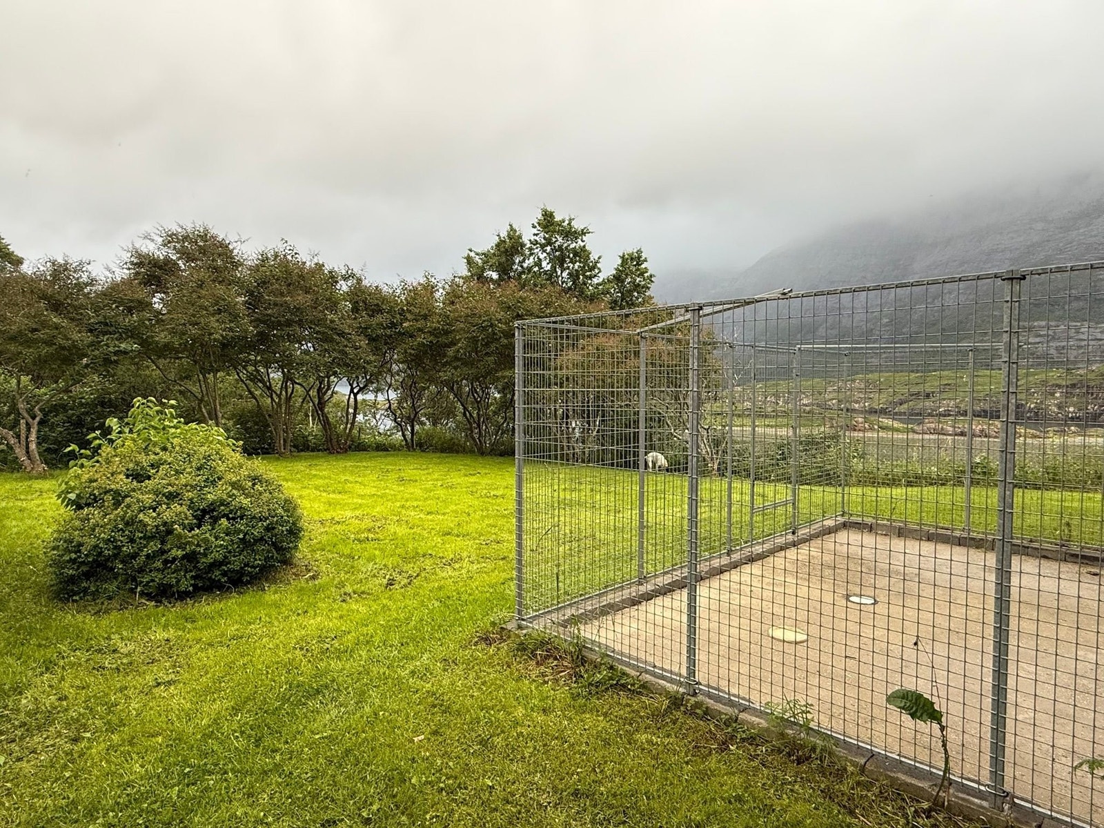 Inngjerdet hage på baksiden, med hundegård og hundeluke ut fra bod. Galleribilde
