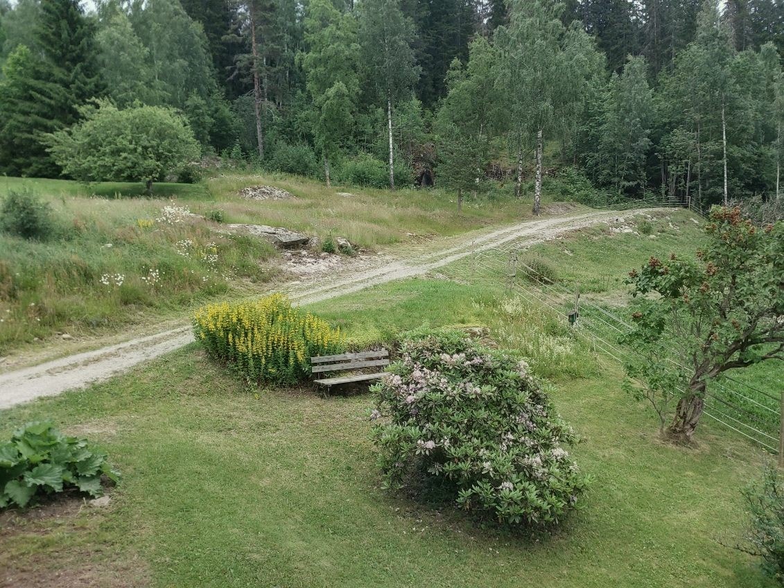 Bilde tatt av selger Galleribilde