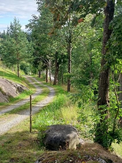 Sjarmerende og landlig innkjøring til eiendommen. Galleribilde