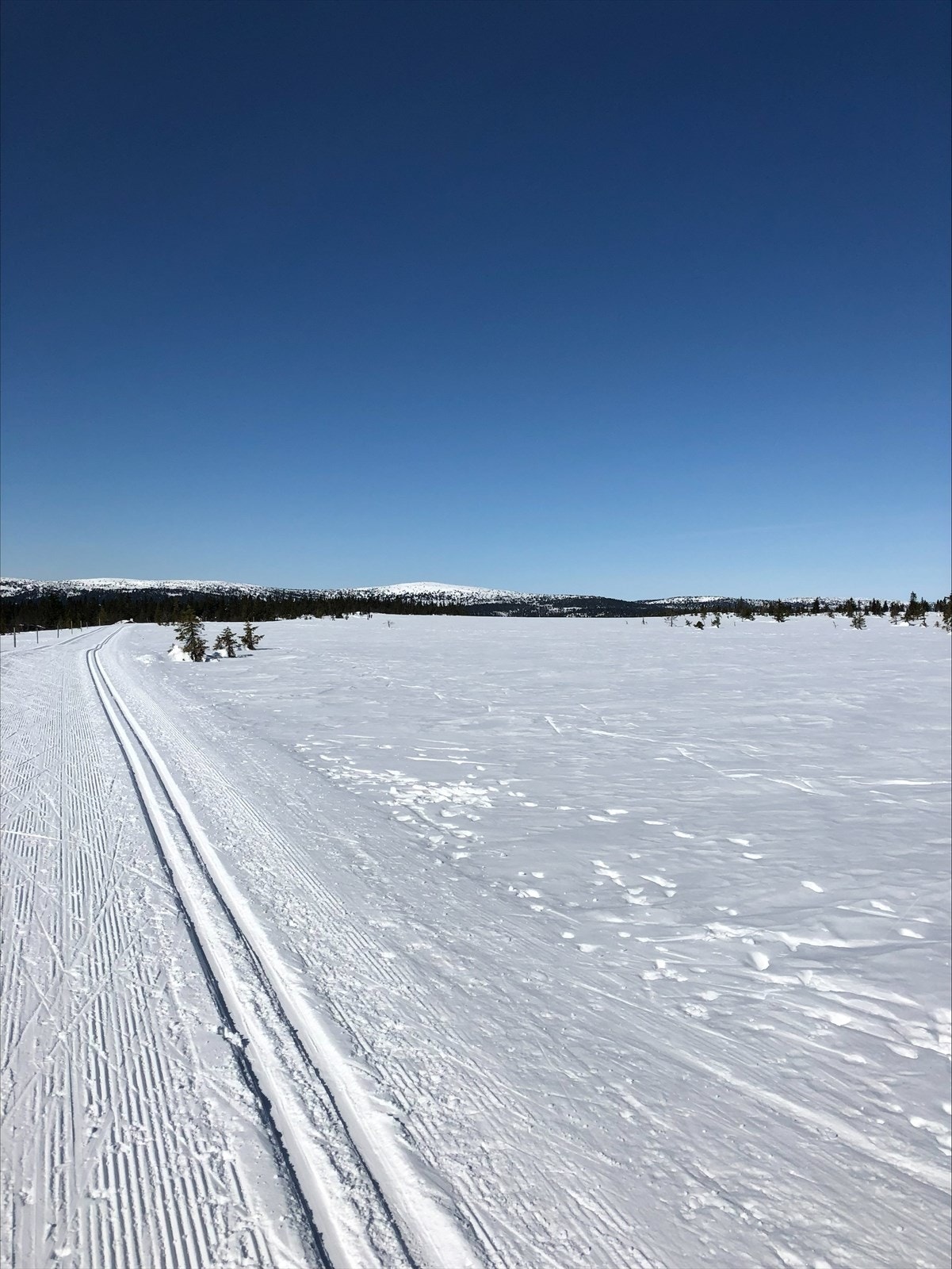 Med skiløyper rett i nærheten av hytta er dette et eldorado for skientusiaster. Foto privat. Galleribilde