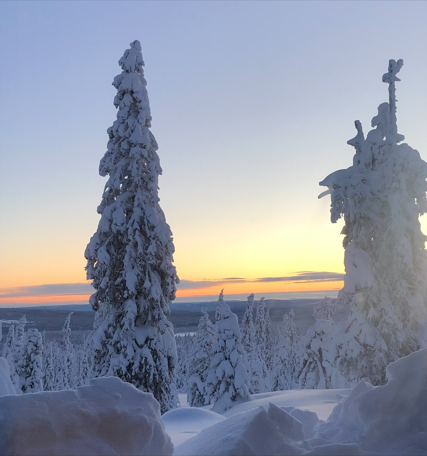 Nærområdet byr på et vidstrakt løypenett for langrenn. Meget familivennlig område. Privat foto. Galleribilde