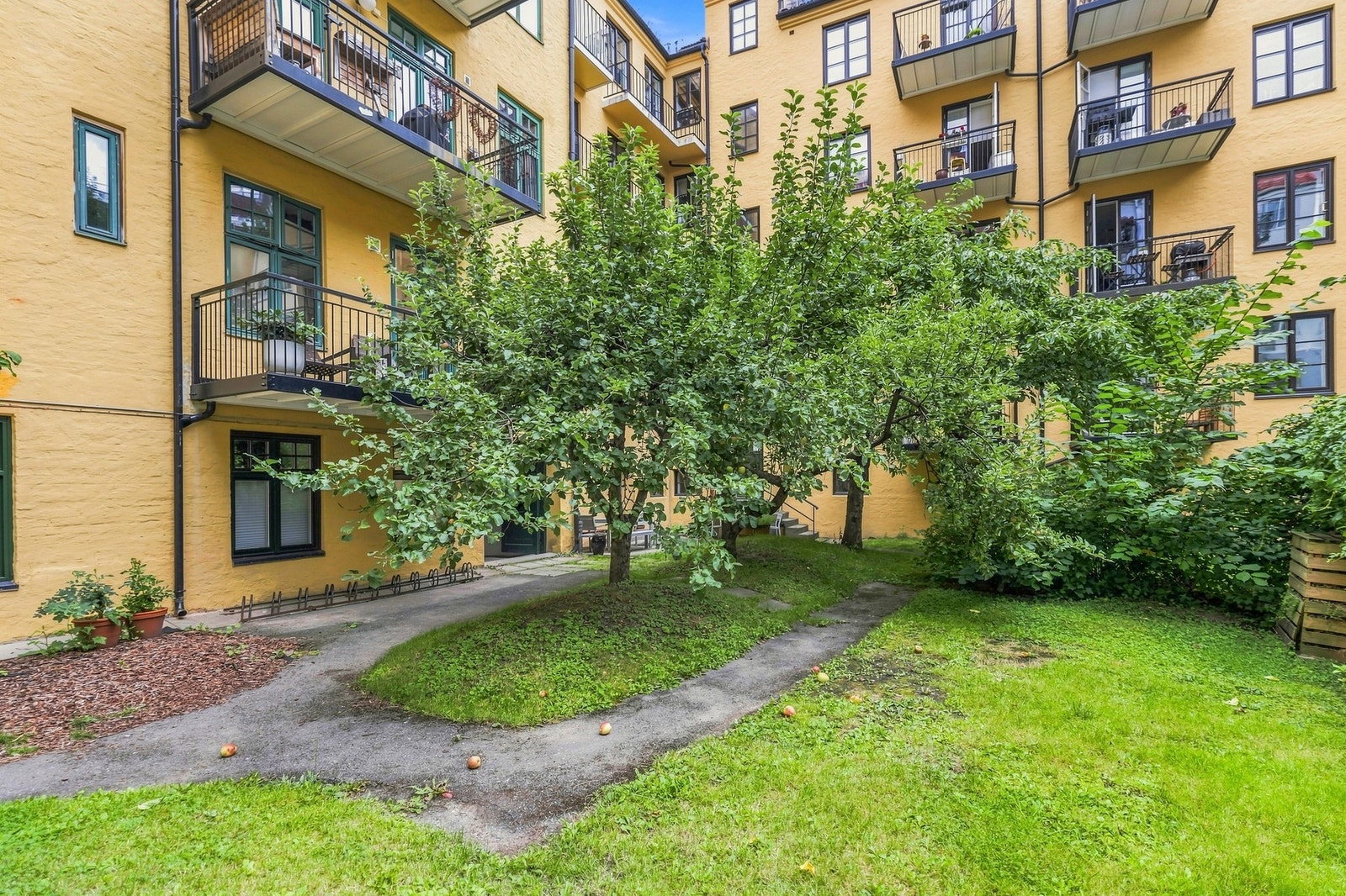 Bakgården byr på sjarmerende epletre. Galleribilde