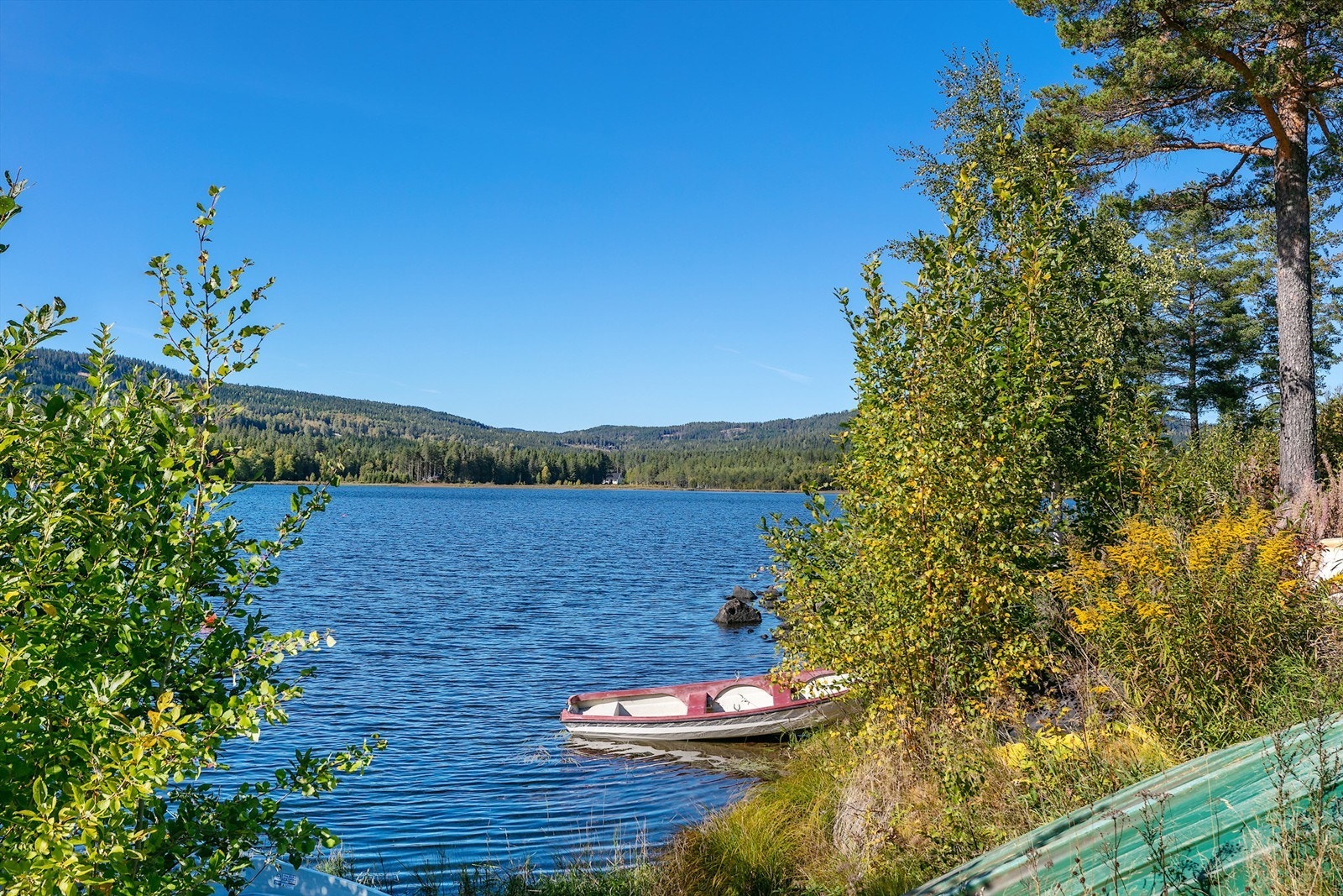 Harestuvannet Galleribilde