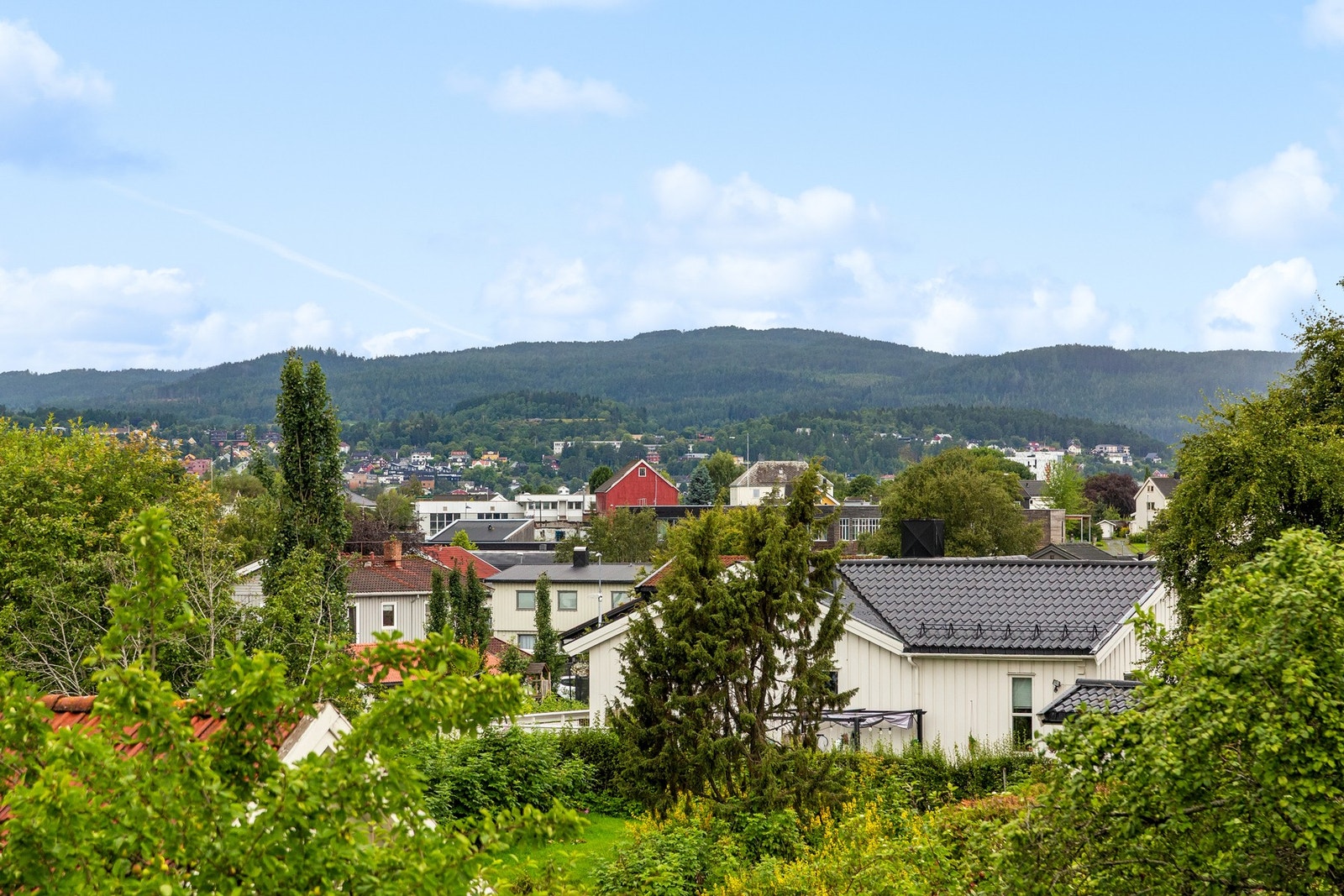 Nyt utsikten over et vakkert og veletablert nabolag. Galleribilde