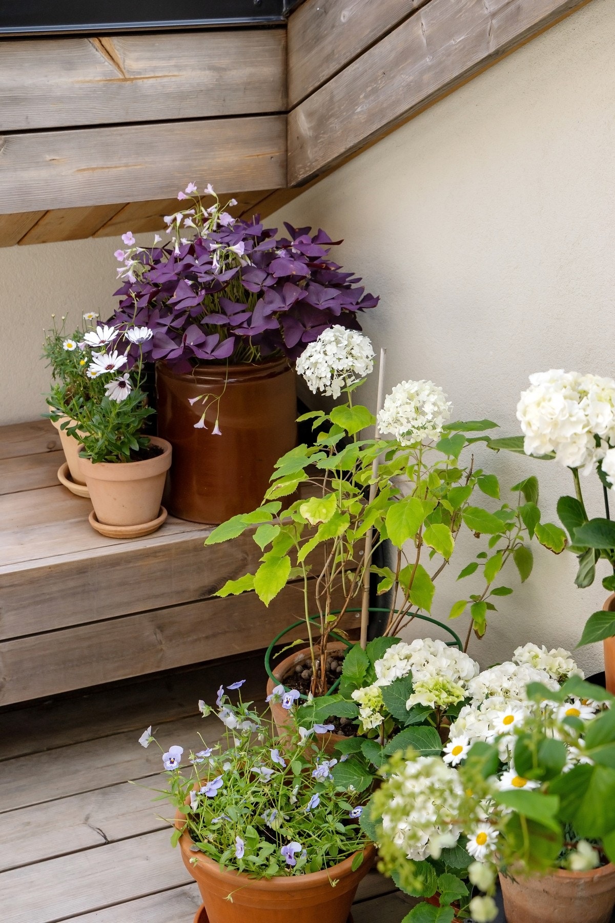 Innred med planter, blomster og balkongmøbler. Galleribilde