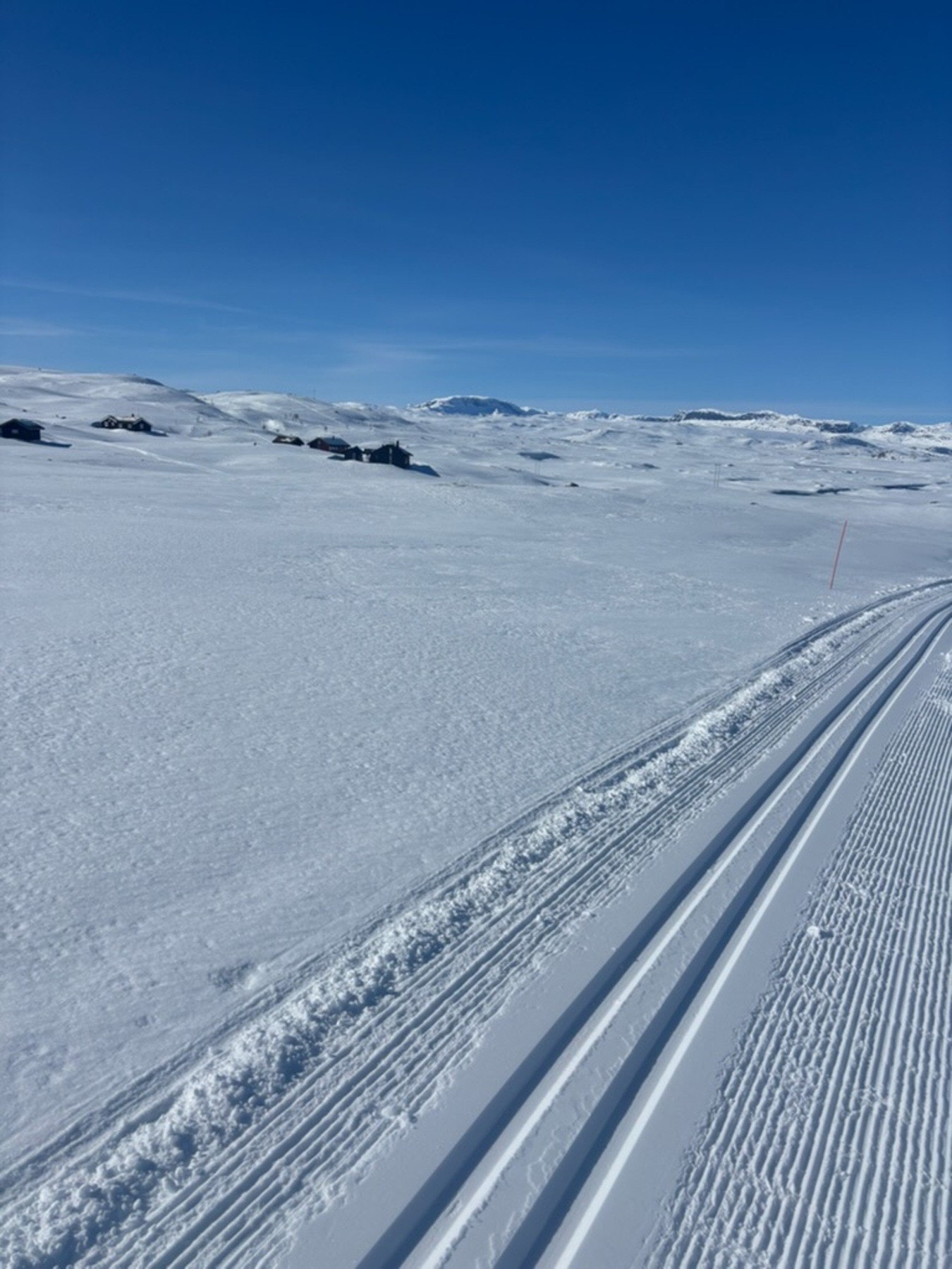 Selgers eget bilde Galleribilde