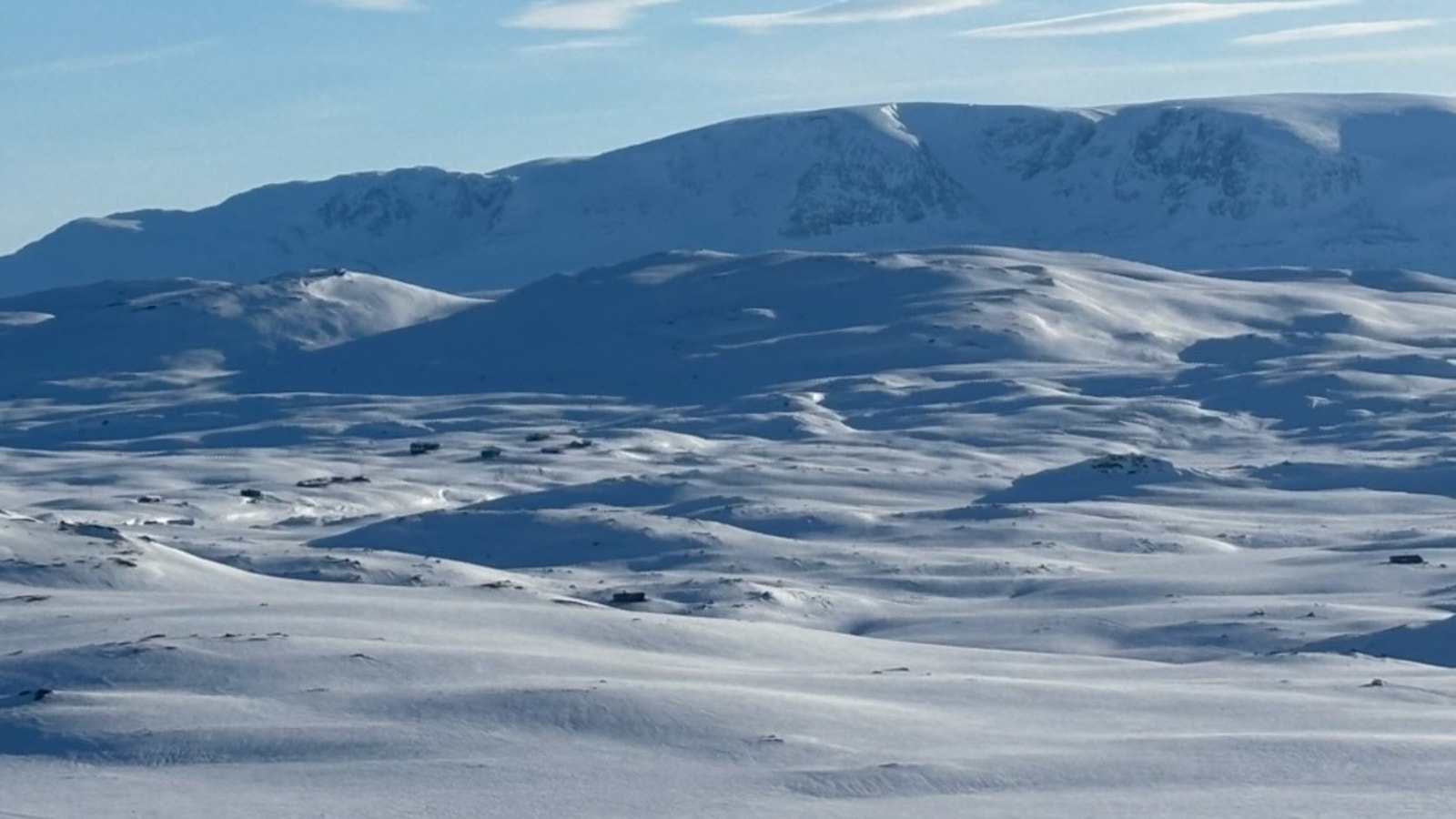 Selgers eget bilde Galleribilde