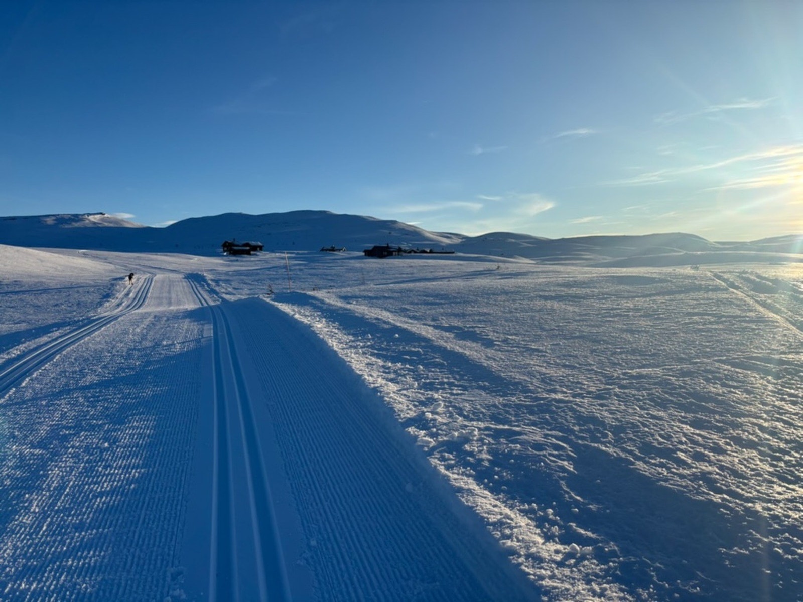 Selgers eget bilde Galleribilde