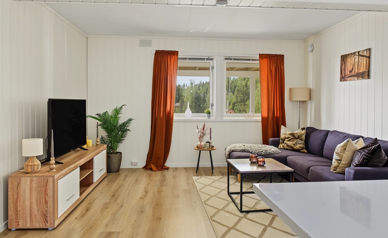 Stuedelen har plass til en hyggelig sofakrok. Galleribilde