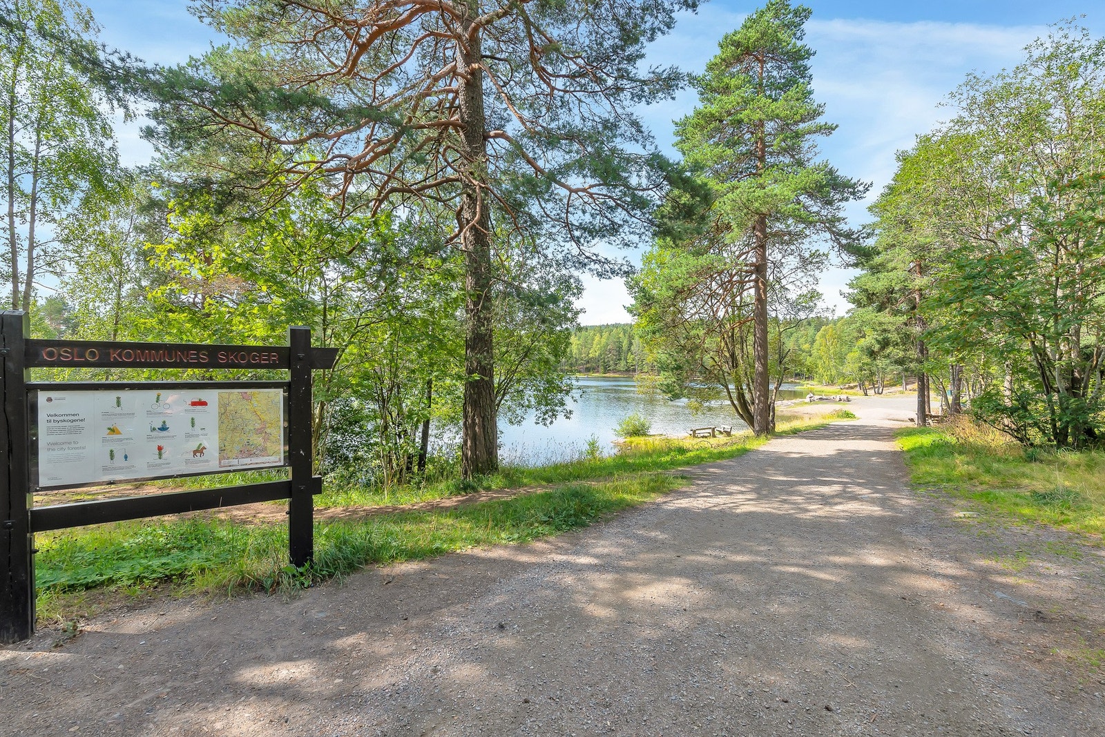 En god tur opp til Steinbruvannet hvor du kan ta morgenbadet. En flott plass på sommerstid Galleribilde