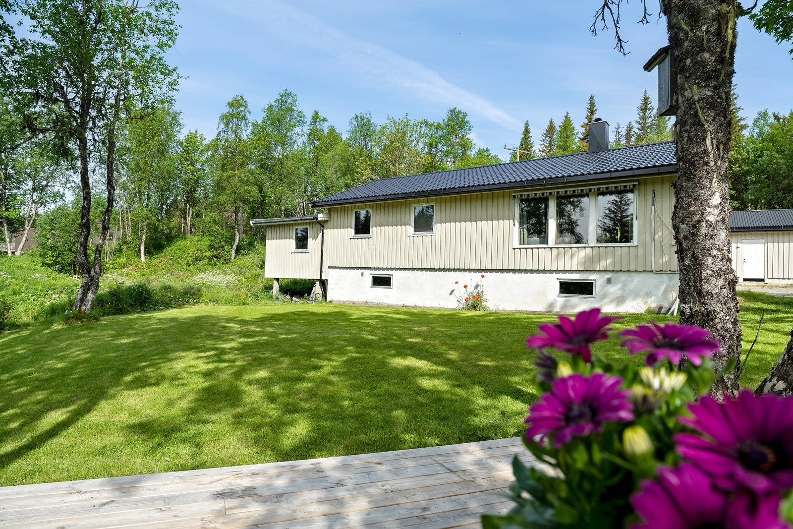 Langfjellveien 391, Skonseng