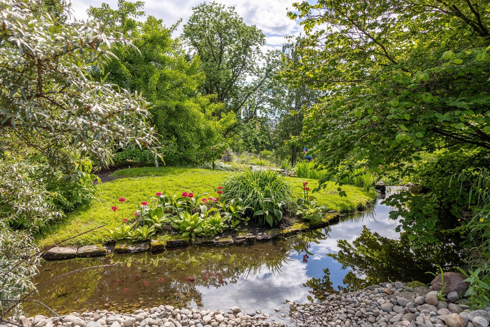 Botanisk hage ligger like ved. Galleribilde