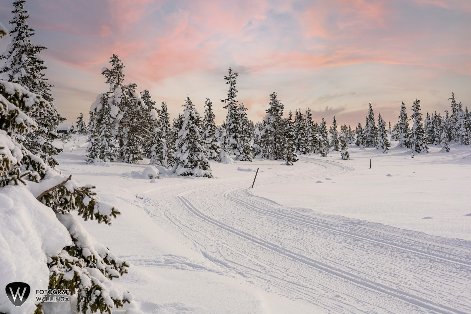 Veggli er et flott område, sommer som vinter med gode turmuligheter. Galleribilde