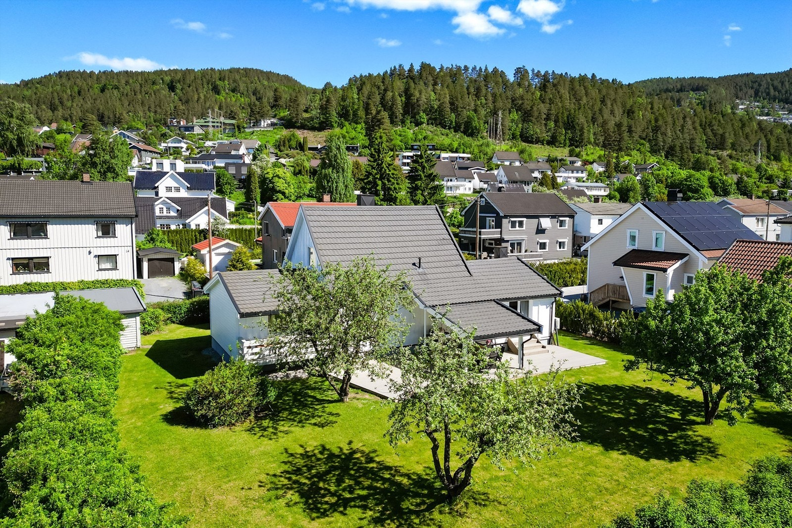 Stor og frodig hage på en tilnærmet flat tomt, opparbeidet med plen og beplantning. Galleribilde