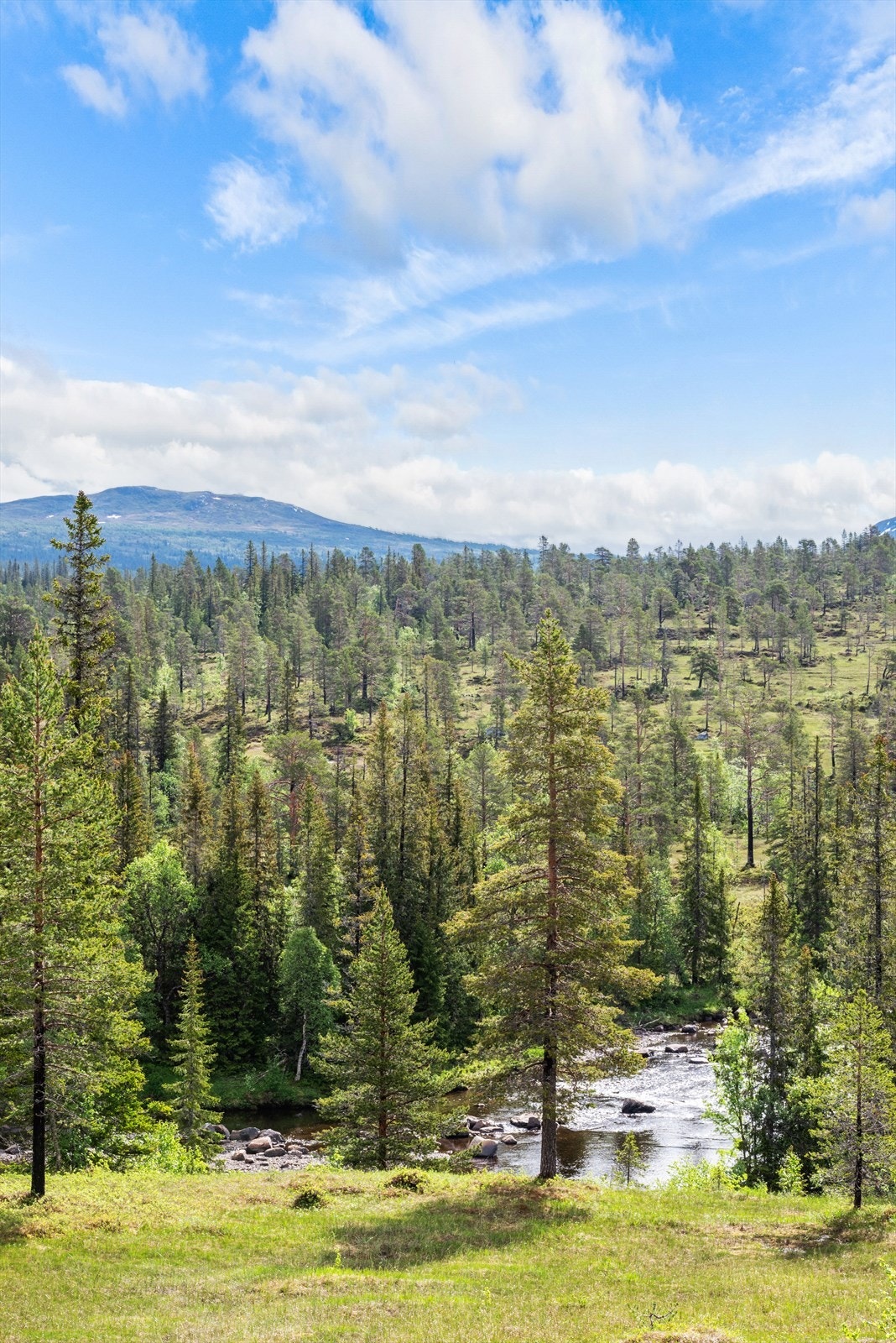 Hytta er omgitt av storslått fjellnatur, vidstrakte skogsområder og et rikt friluftsliv året rundt. Galleribilde