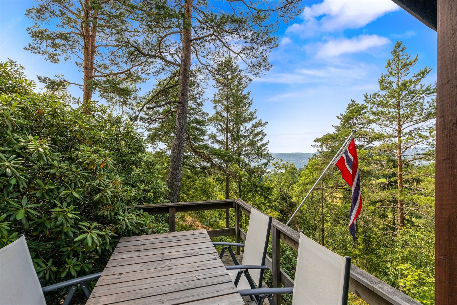Fra terrassen er det utsikt over furuskogen og ned mot fjorden. Galleribilde
