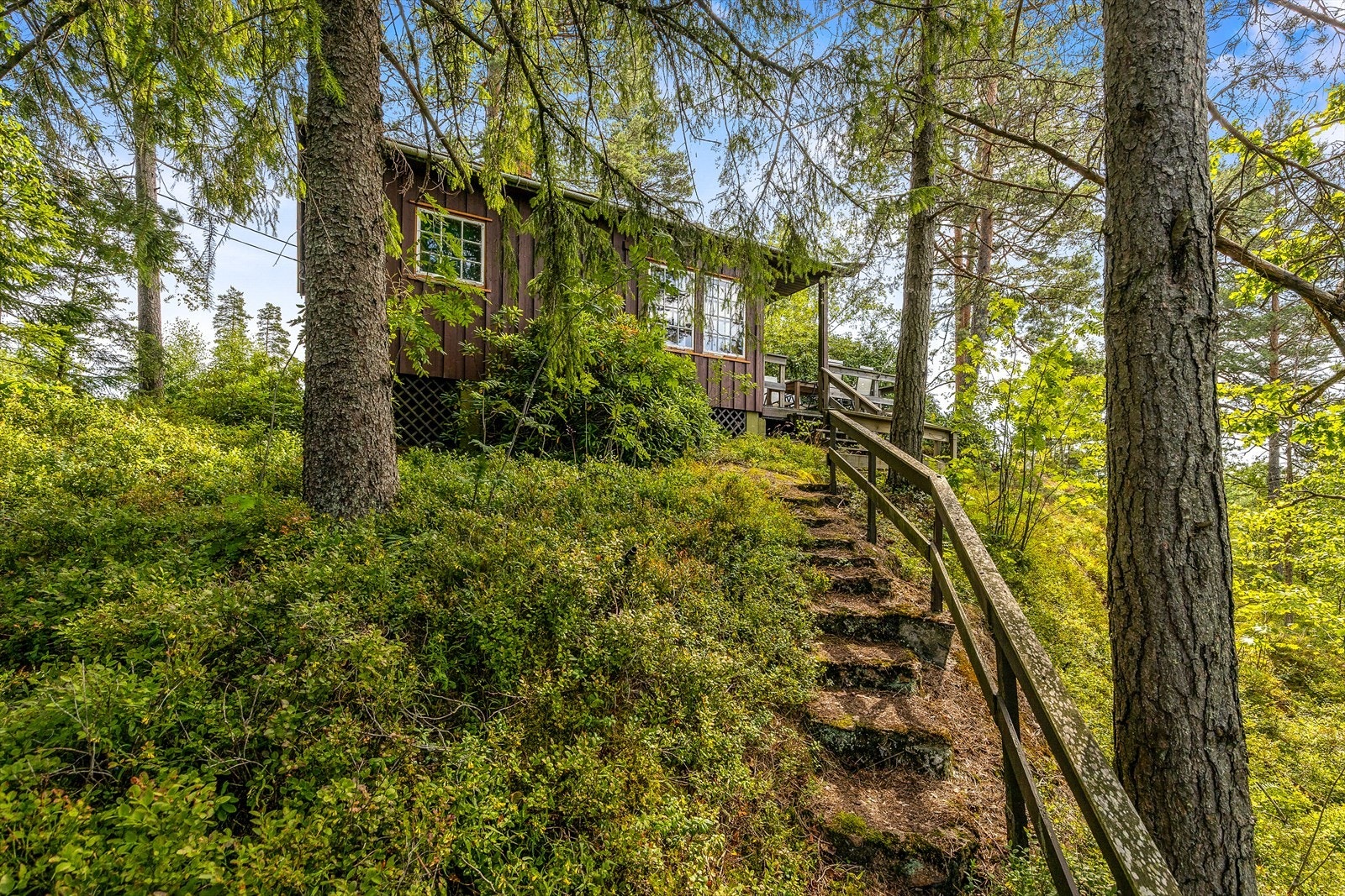 Eiendommen er en naturtomt omgitt av furuskog og naturlig vegetasjon. Galleribilde