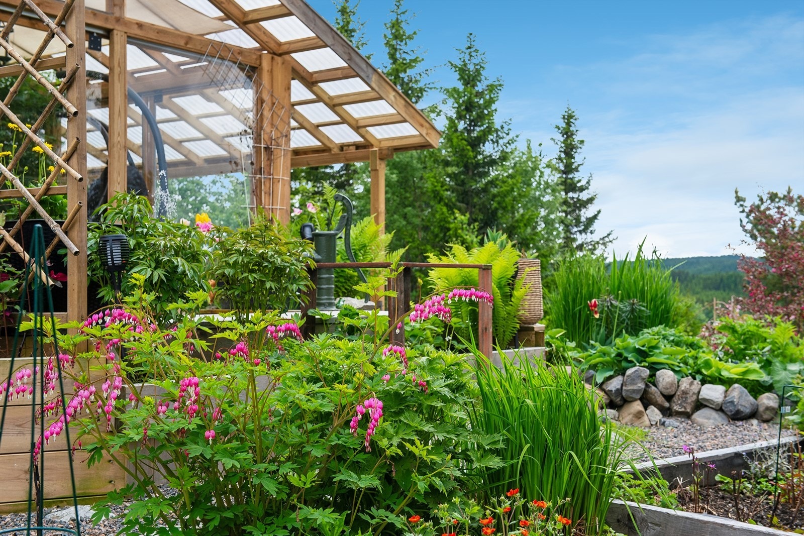 Hagen er frodig med variert beplantning og god plass for dyrking. Galleribilde