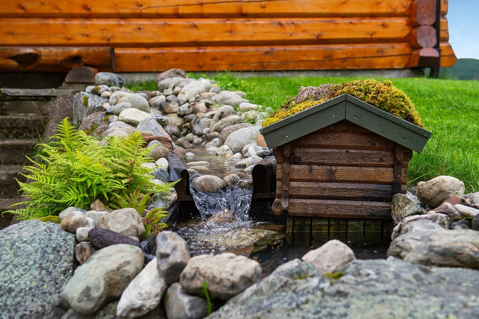Sjarmerende detaljer i hagen. Galleribilde
