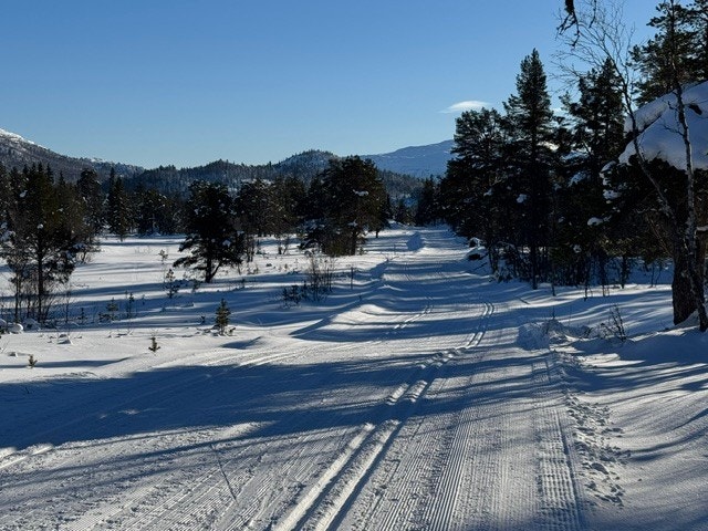 Nær hytta finner du flotte skogsløyper for rolige skiturer i variert og lunere terreng. Et perfekt alternativ på dager hvor vinden tar på snaufjellet - her kan du nyte turen i ly av skogen. Galleribilde
