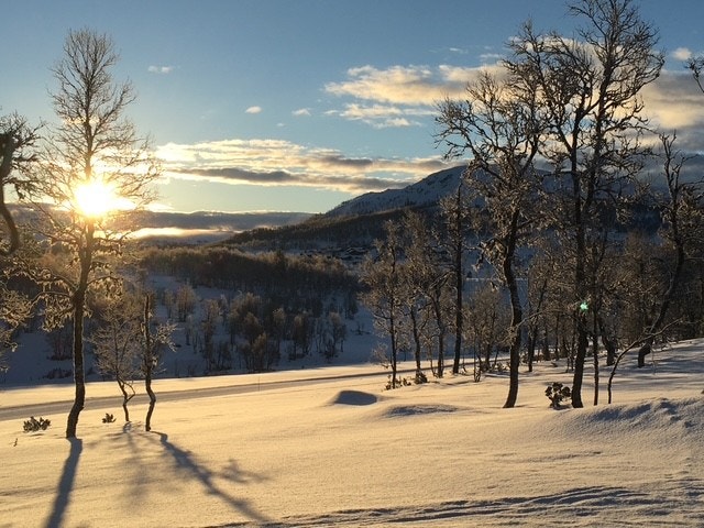 Vakkert vinterlandskap i Rauland - med snødekte fjell, skiløyper og ekte fjellstemning rett utenfor hyttedøren. Galleribilde