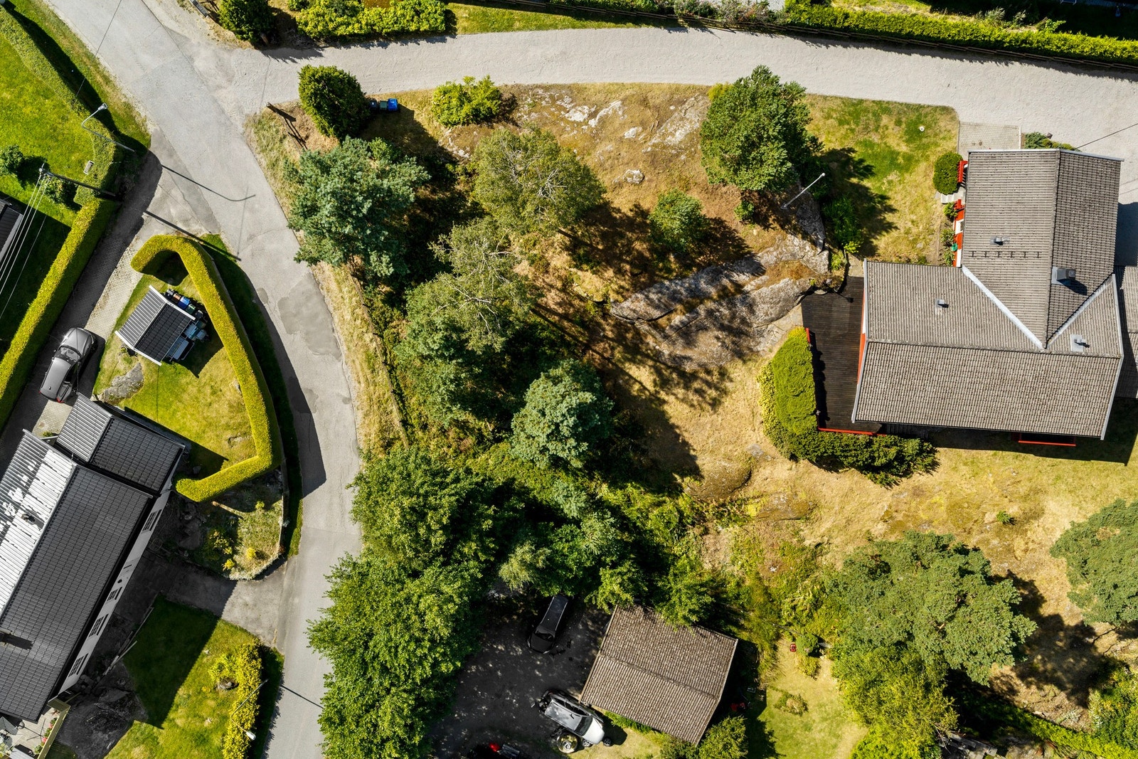 Drone. Galleribilde