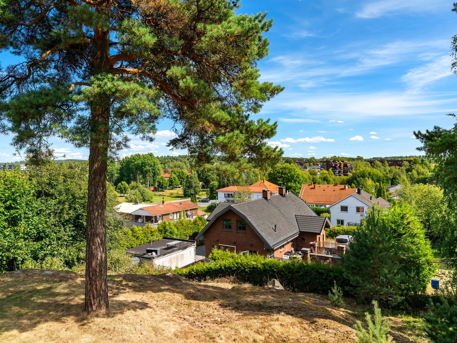 Flott naturtomt med fantastisk utsikt. Galleribilde