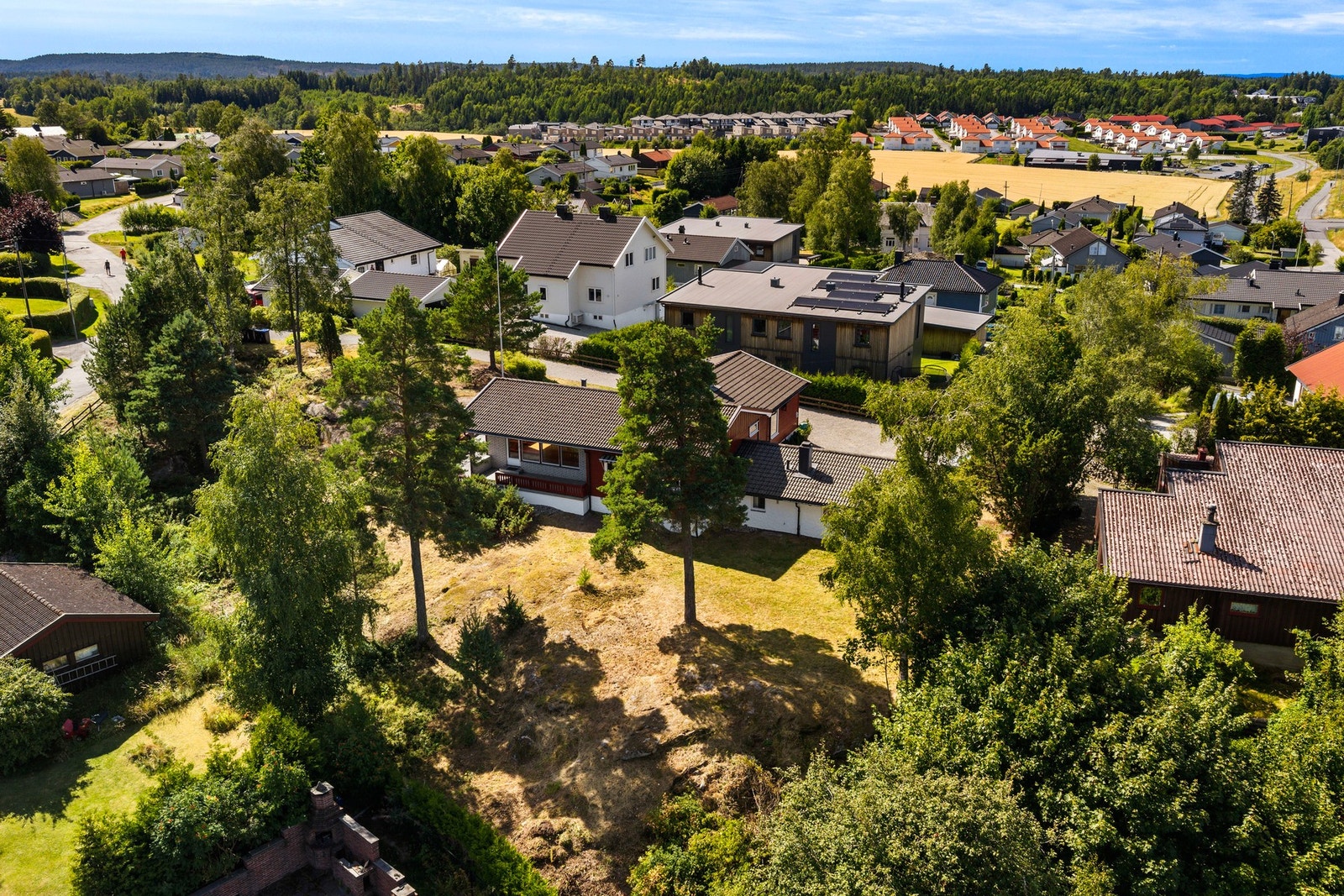 Drone. Galleribilde