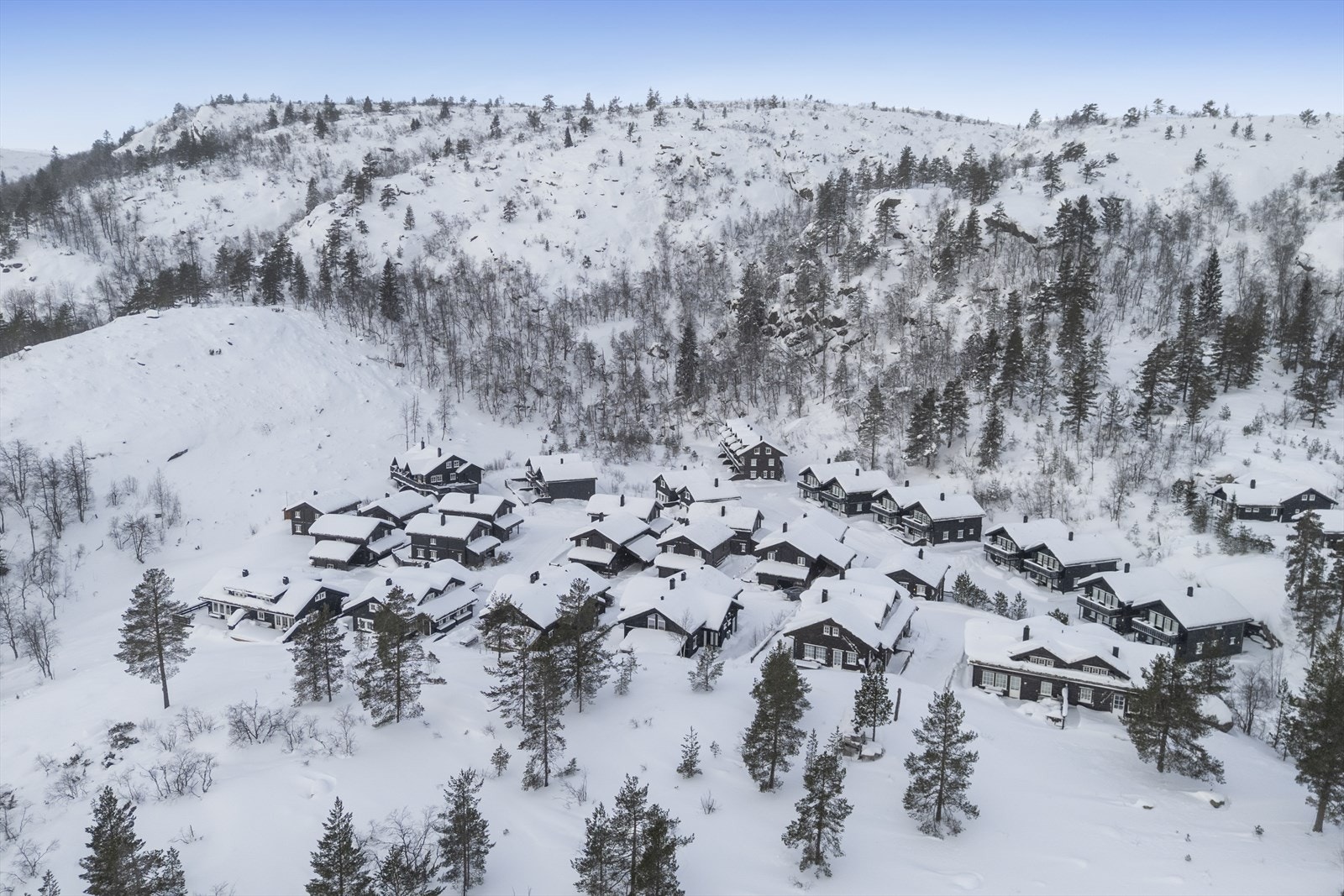 Område. Galleribilde