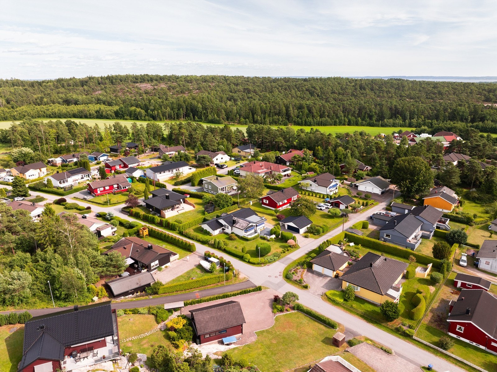 Fra nabolaget kan du gå rett ut i skog og mark med mange stier og turmuligheter. Galleribilde