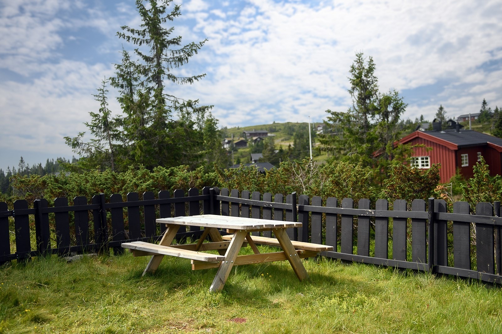 Det er mulig å etablere flere utesoner på tomta. Galleribilde