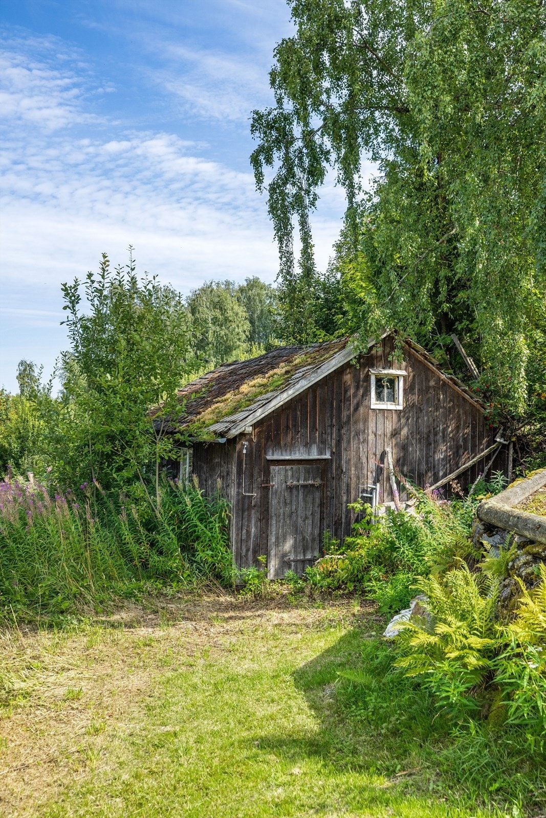 5443-3-1_033.jpg Galleribilde