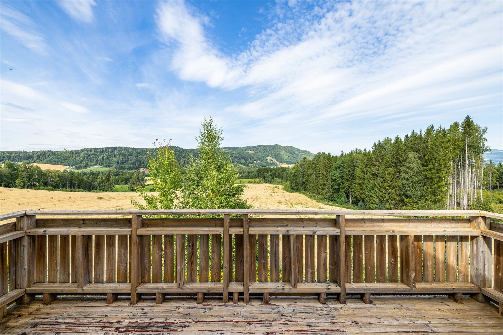 5443-3-1_024.jpg Galleribilde