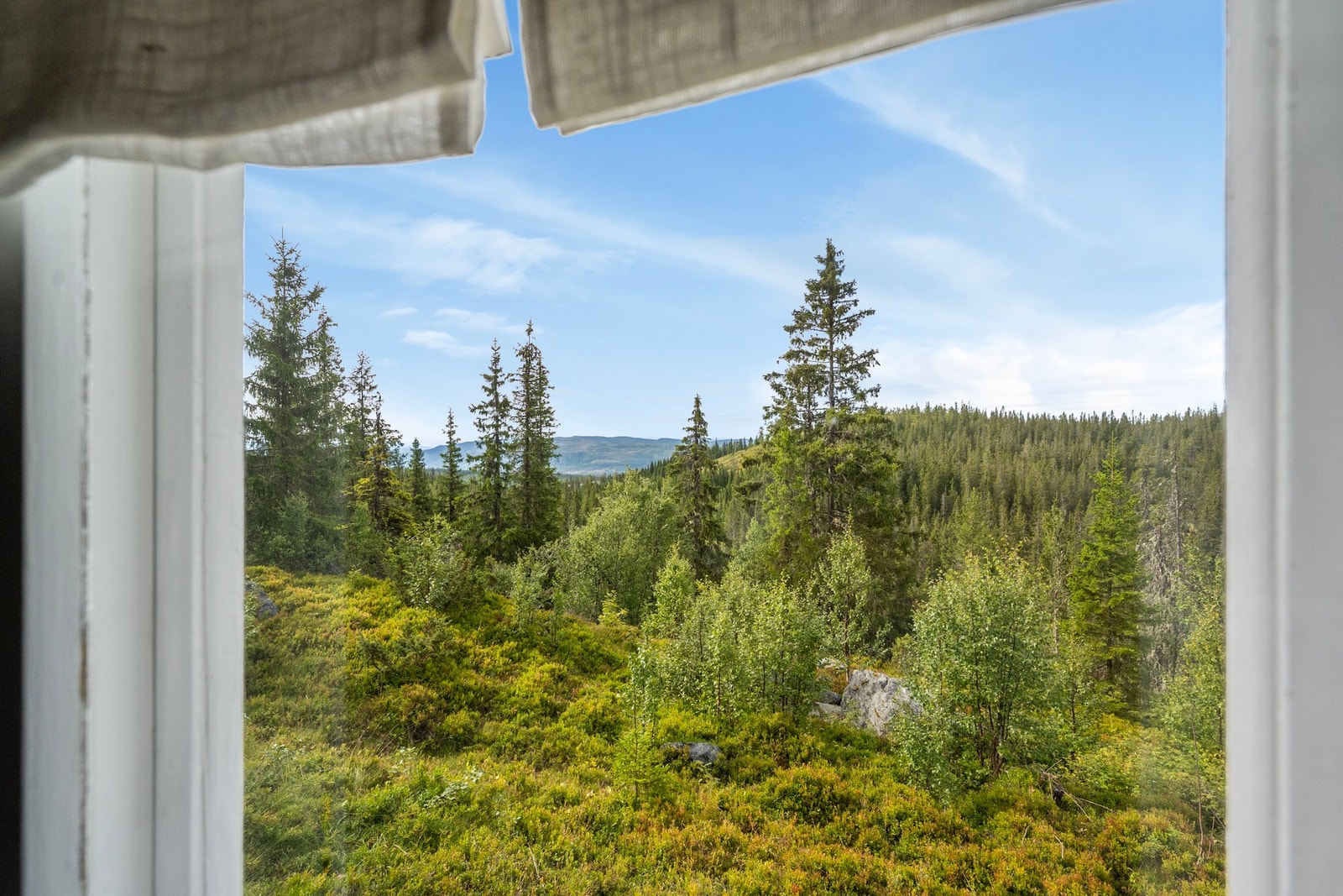 Fin utsikt til omgivelsene fra vinduene inne i hytta. Galleribilde