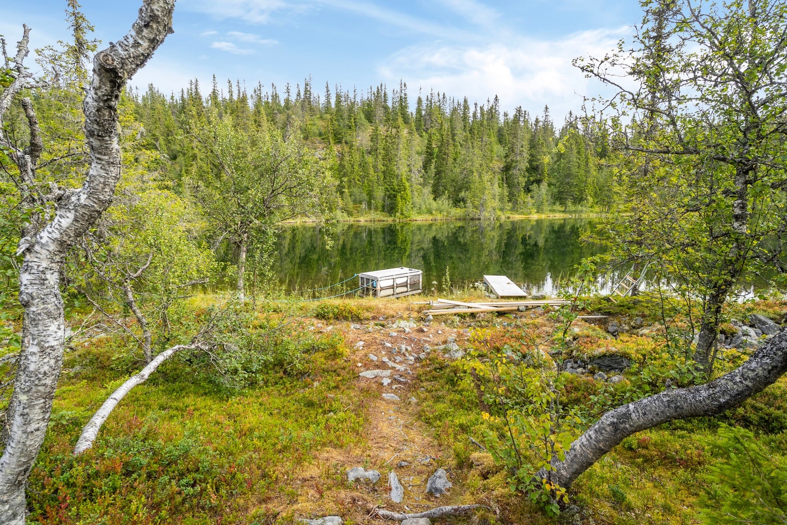 Det er ca. 100 meter til Fjelltjernet med liten brygge Galleribilde