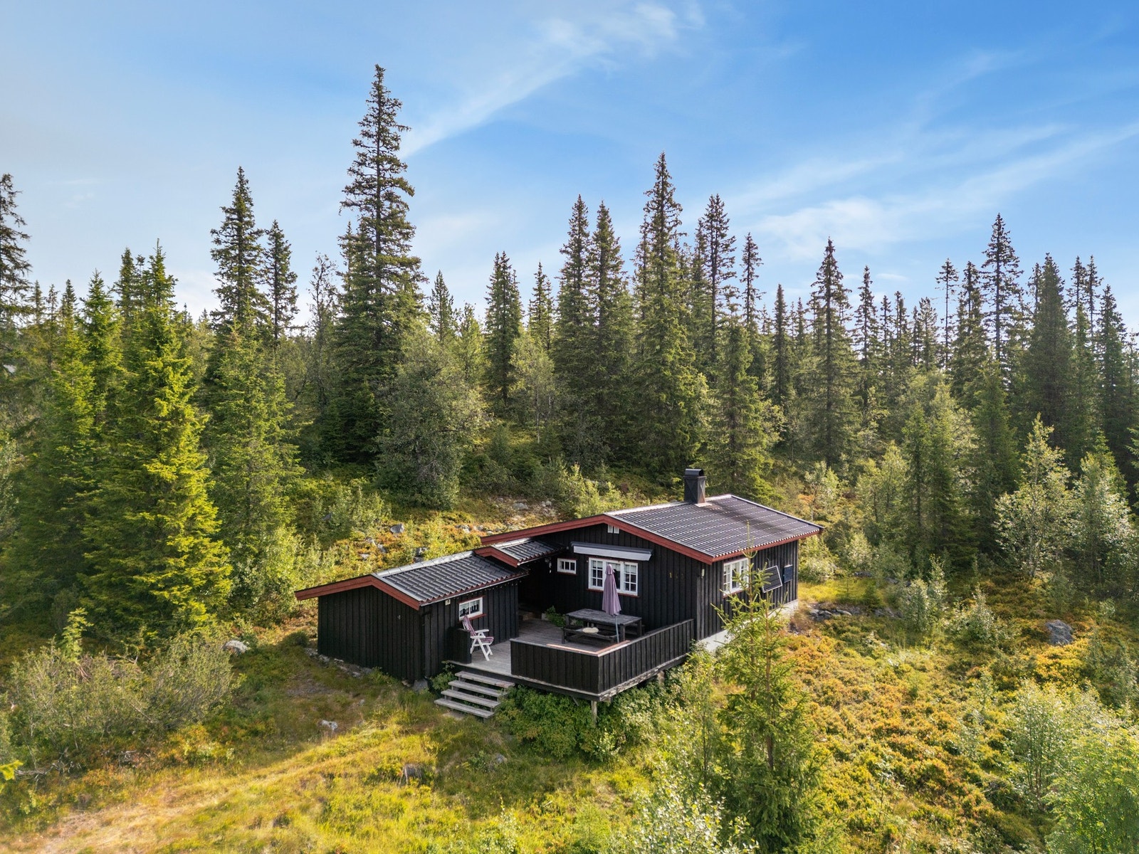 Velkommen til Fjelltjednvegen 143! Galleribilde