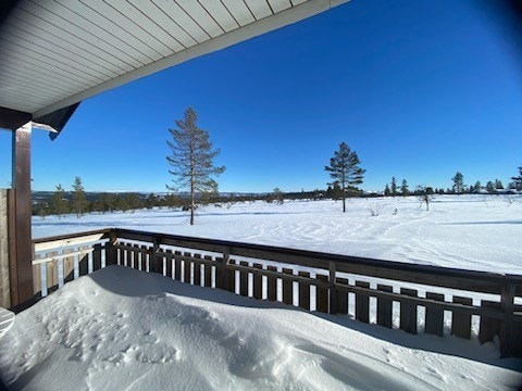 På vinterstid er det umiddelbar tilgang til oppkjørte skiløyper. Galleribilde