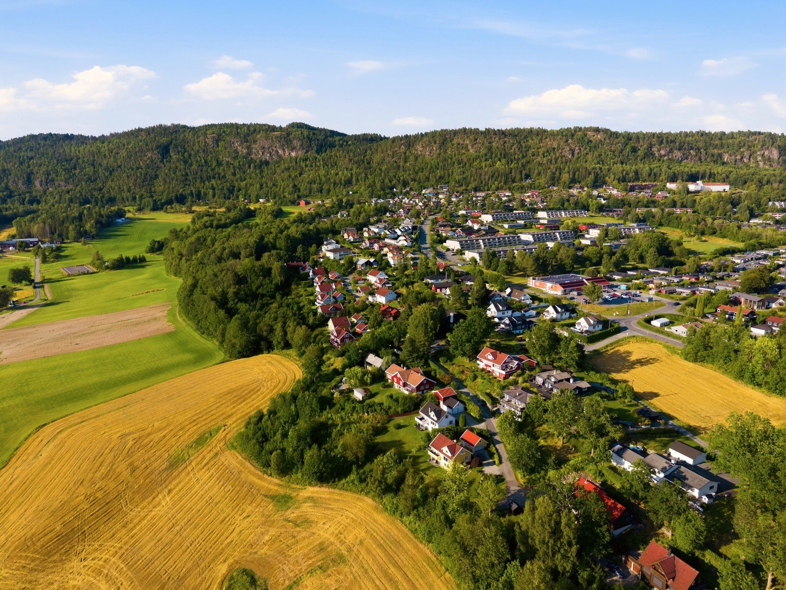 Velkommen til en hyggelig visning! Galleribilde