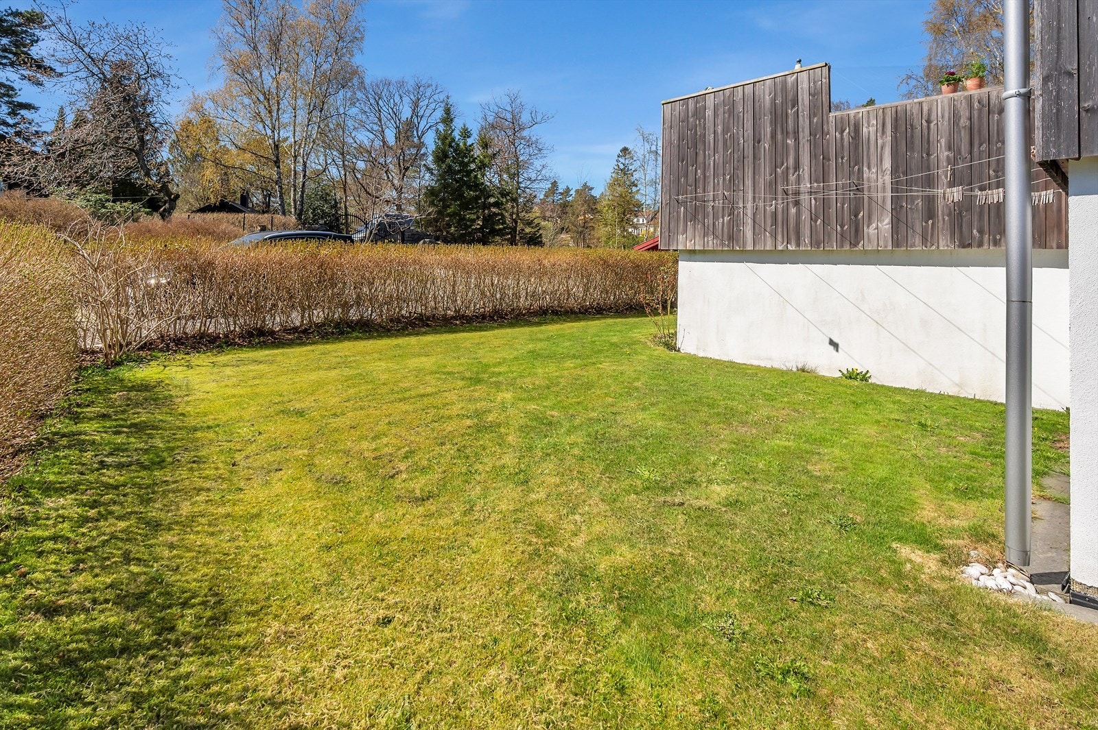 Et ypperlig sted for små barn eller firebeinte. Galleribilde