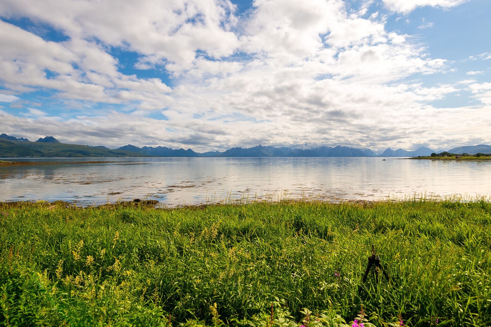 Nyt nærheten til sjøen og den vakre naturen i Vesterålen. Galleribilde