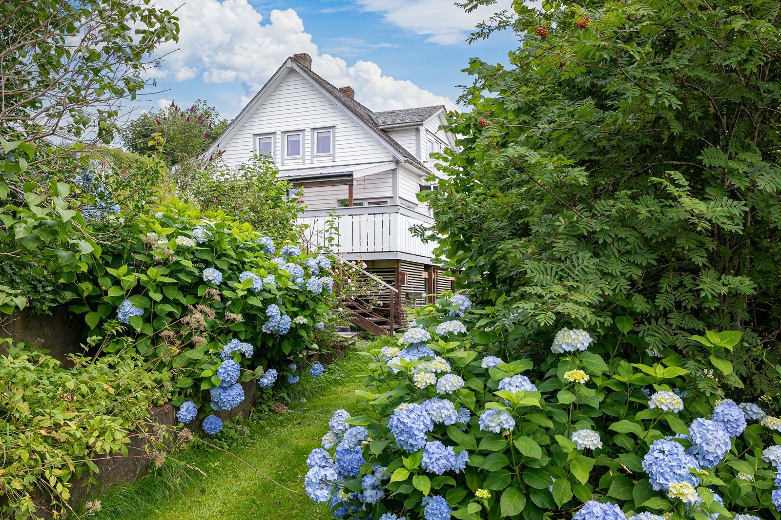 Eiendommen har en frodig og sjarmerende hage med variert beplantning og flotte hortensiaer som setter et hyggelig preg på uteområdet. Galleribilde