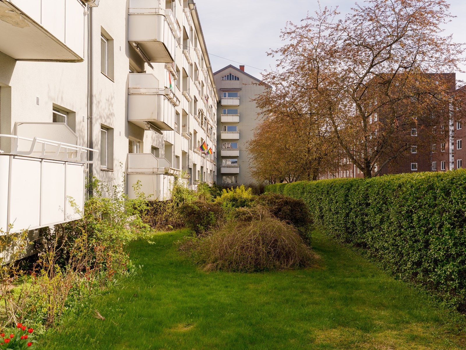 Fellesarealene er pent opparbeidet med gressplen og diverse beplantning. Galleribilde