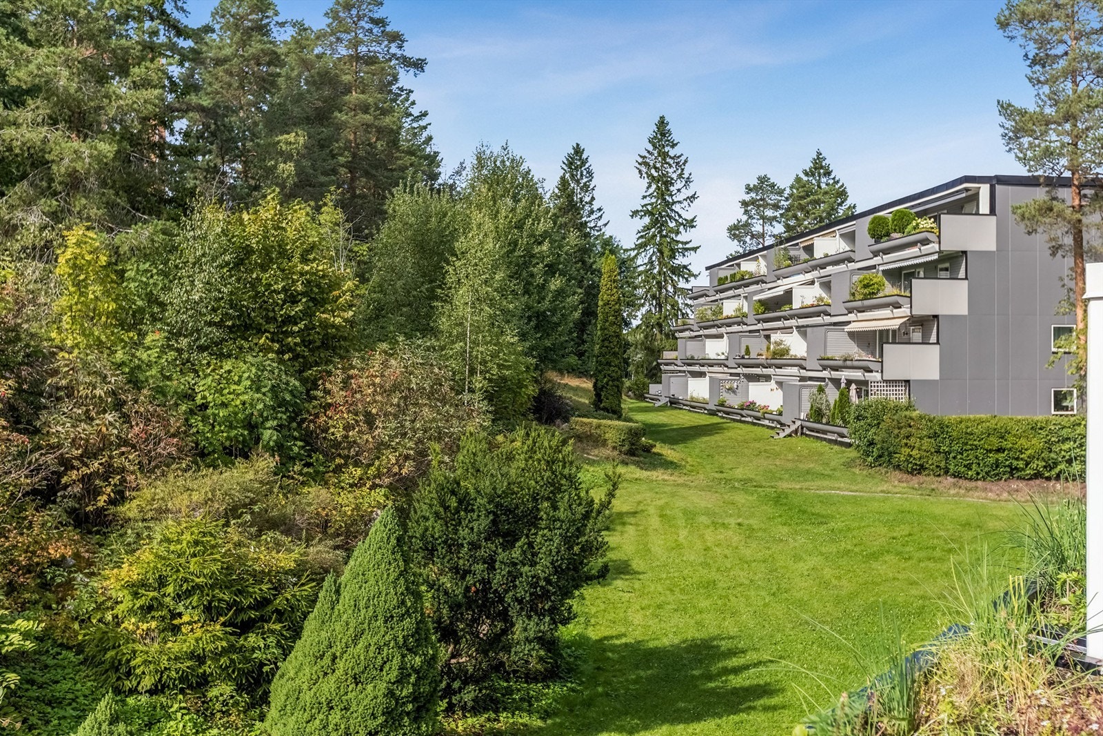 Fra verandaen er det utsikt over borettslagets fellesarealer. Galleribilde