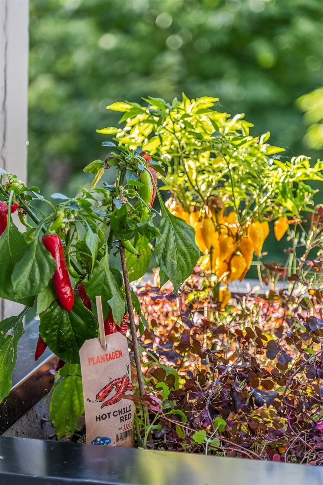 Rekkverket består av en blomsterkasse i betong, som gir mulighet for beplantning. Galleribilde