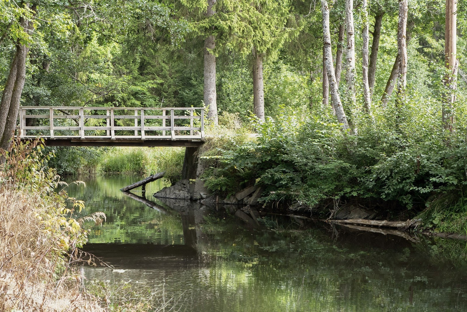 Fine turmuligheter med direkte tilgang til skog og mark fra tunet. Galleribilde